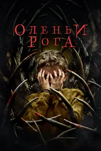 Оленьи рога Оленьи рога