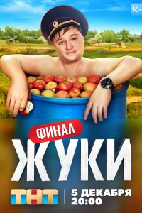 Жуки Жуки