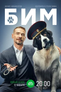 БИМ БИМ