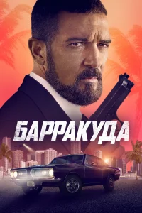 Барракуда Барракуда