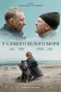 У самого Белого моря У самого Белого моря