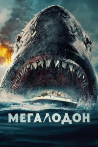 Мегалодон Мегалодон