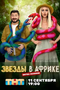 Звёзды в Африке Звёзды в Африке
