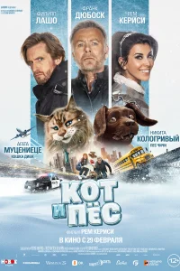 Кот и пёс Кот и пёс