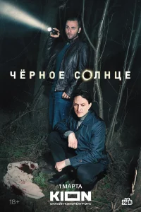 Чёрное солнце Чёрное солнце