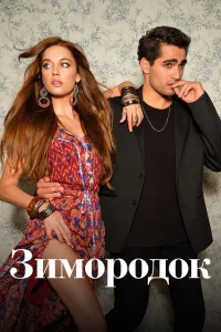 Зимородок Зимородок
