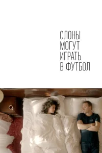 Слоны могут играть в футбол Слоны могут играть в футбол