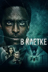 В клетке В клетке