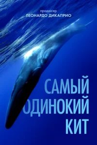 Самый одинокий кит на планете: в поисках Пятидесятидвухгерцового кита Самый одинокий кит на планете: в поисках Пятидесятидвухгерцового кита