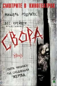 Свора Свора