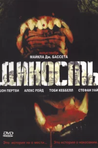 Дикость Дикость