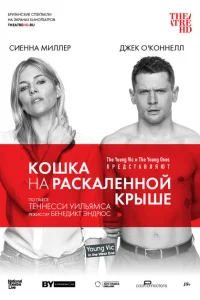 Кошка на раскалённой крыше Кошка на раскалённой крыше
