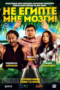 Не египте мне мозги! Не египте мне мозги!