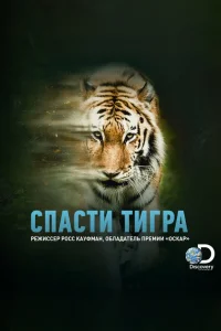 Спасти тигра Спасти тигра