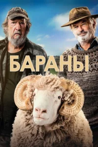 Бараны Бараны