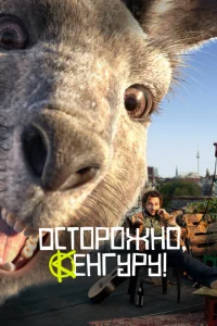 Осторожно, Кенгуру! Осторожно, Кенгуру!