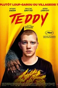 Тедди Тедди