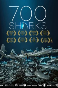 700 акул 700 акул