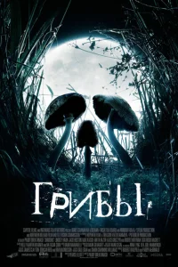Грибы Грибы