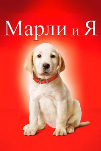 Марли и я Марли и я
