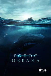 Голос Океана Голос Океана