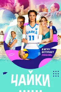Чайки Чайки