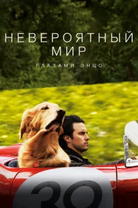 Невероятный мир глазами Энцо Невероятный мир глазами Энцо