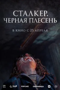Сталкер. Черная плесень Сталкер. Черная плесень