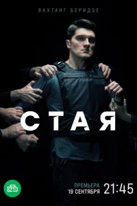 Стая Стая