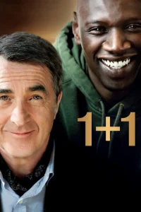 1+1 1+1
