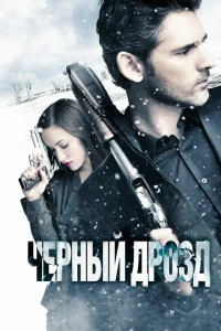 Черный дрозд Черный дрозд