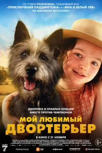 Мой любимый двортерьер Мой любимый двортерьер