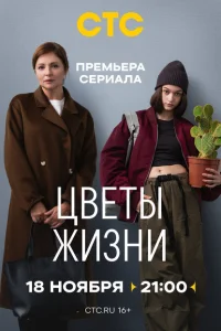 Цветы жизни Цветы жизни