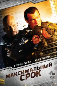 Максимальный срок Максимальный срок