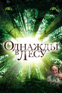 Однажды в лесу Однажды в лесу