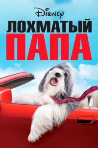 Лохматый папа Лохматый папа