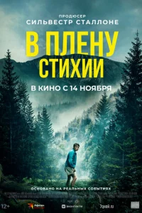 В плену стихии В плену стихии
