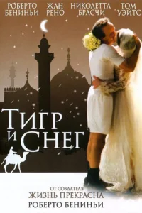 Тигр и снег Тигр и снег