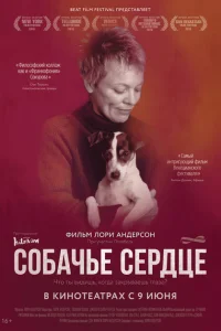 Собачье сердце Собачье сердце