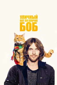 Уличный кот по кличке Боб Уличный кот по кличке Боб