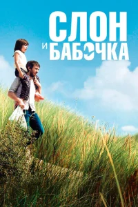 Слон и бабочка Слон и бабочка