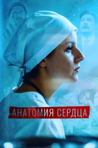 Анатомия сердца Анатомия сердца