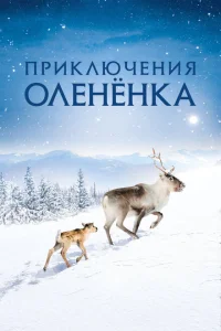 Приключения оленёнка Приключения оленёнка