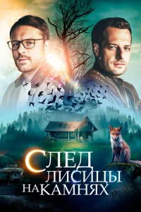 След лисицы на камнях След лисицы на камнях