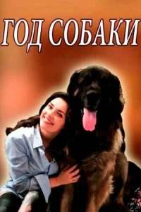Год собаки Год собаки