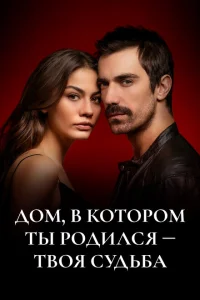 Дом, в котором ты родился - твоя судьба Дом, в котором ты родился - твоя судьба