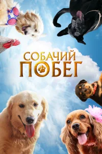 Собачий побег Собачий побег
