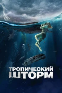 Рекуин Рекуин