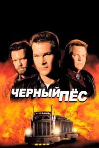 Черный пес Черный пес