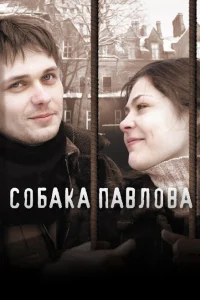 Собака Павлова Собака Павлова
